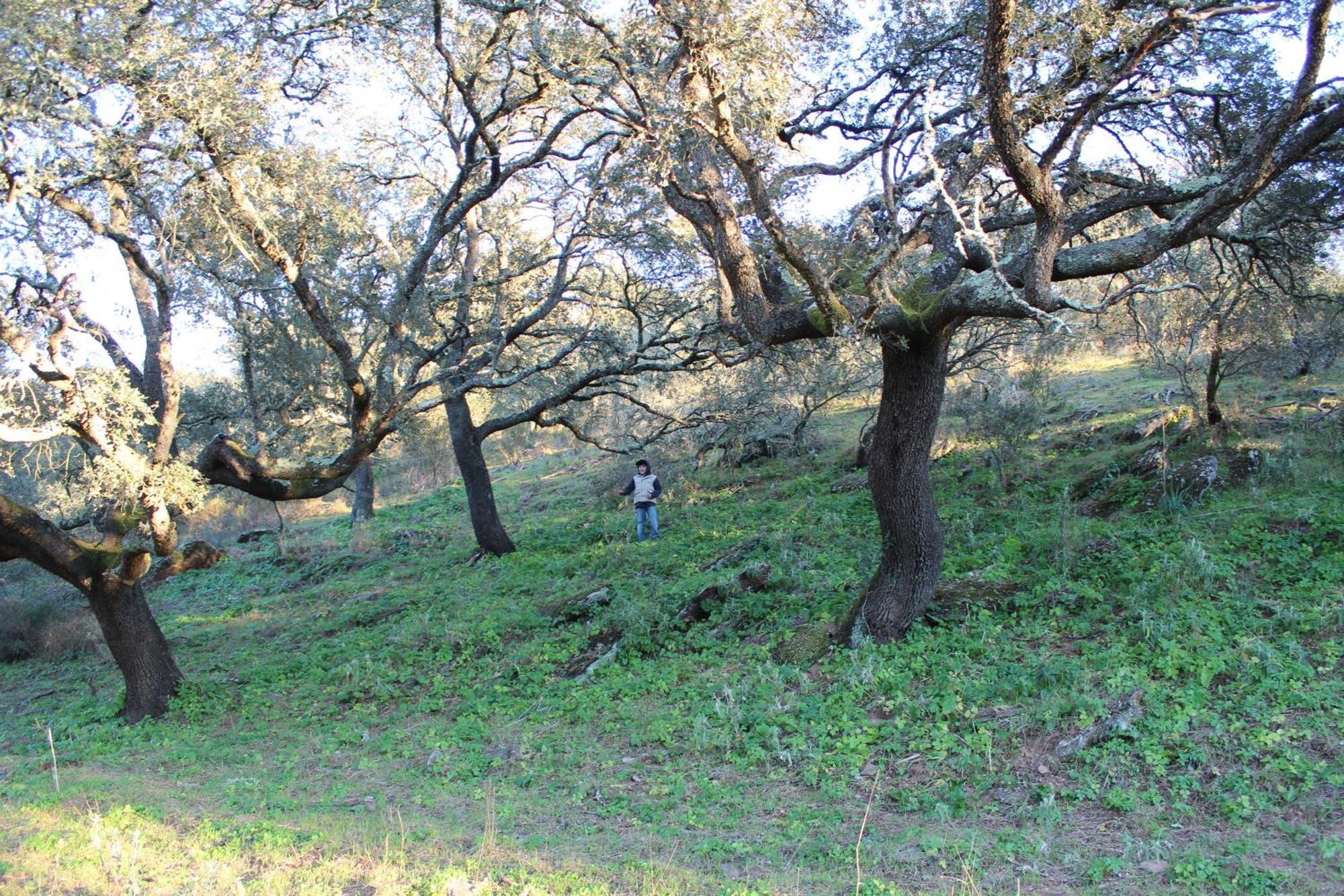 Agroturismo Xistos Cerca Εξωτερικό φωτογραφία