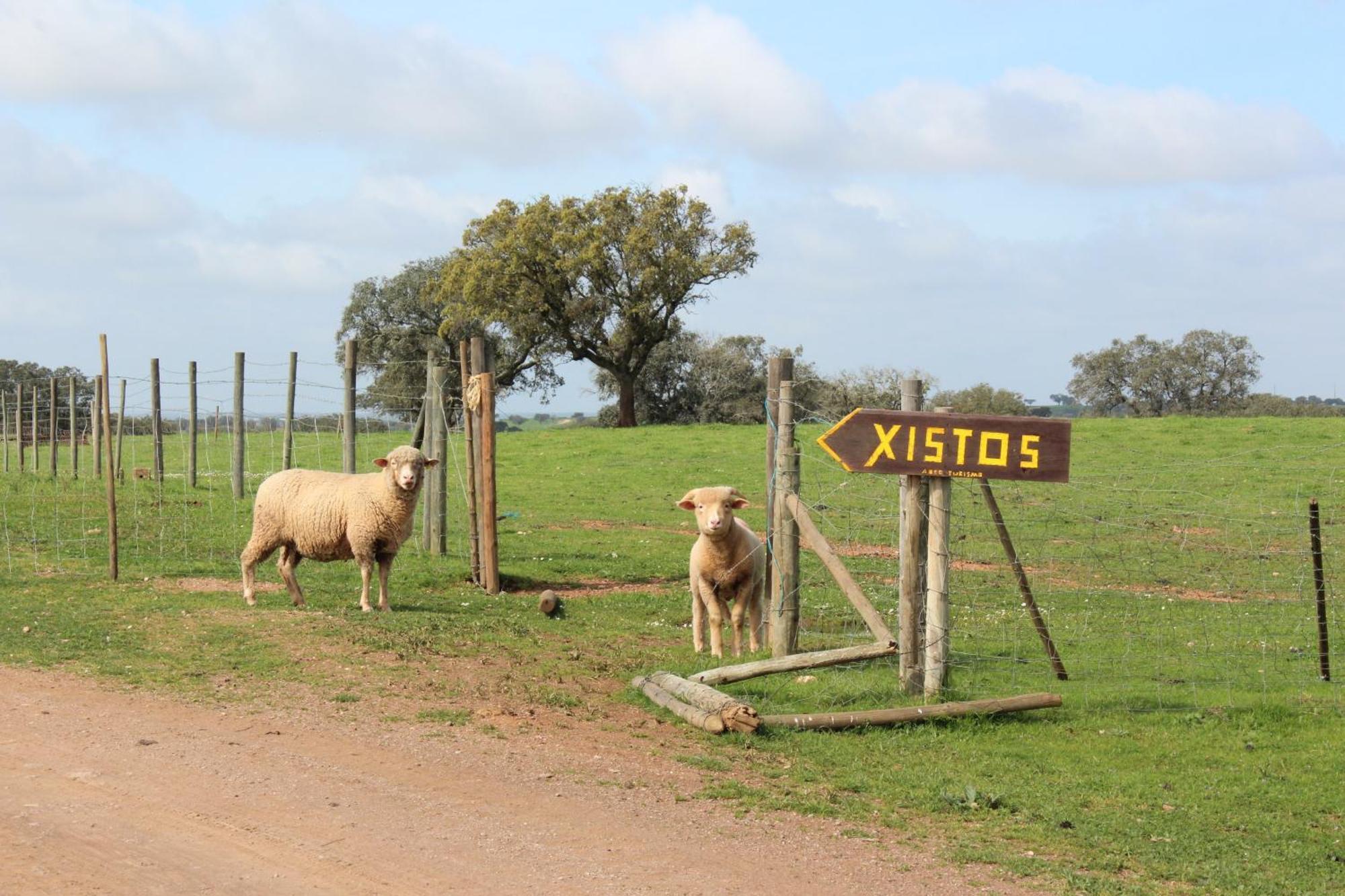 Agroturismo Xistos Cerca Εξωτερικό φωτογραφία