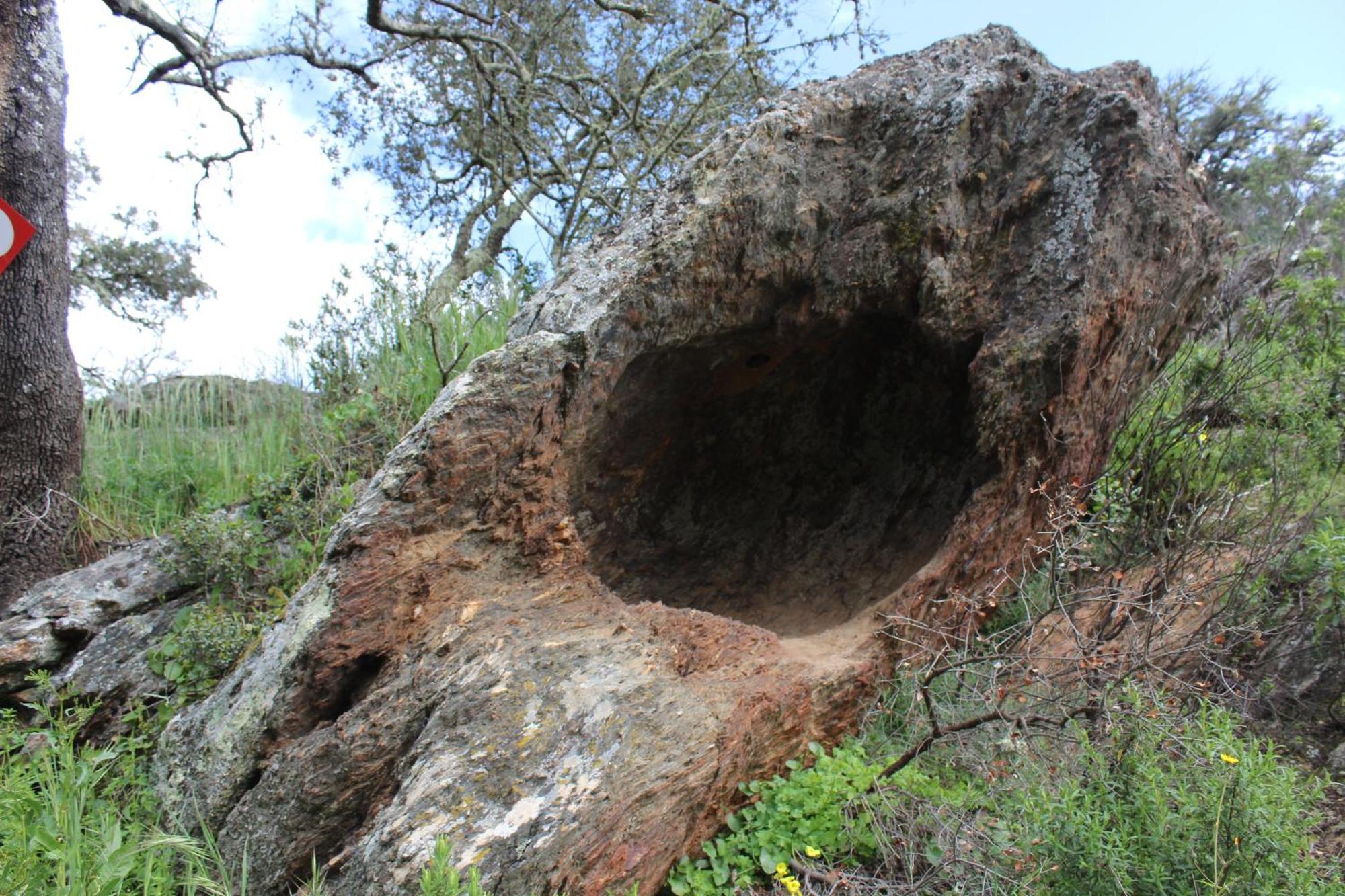Agroturismo Xistos Cerca Εξωτερικό φωτογραφία